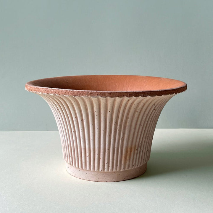 Bergs Daisy Pot & Saucer, Rosa, 12"