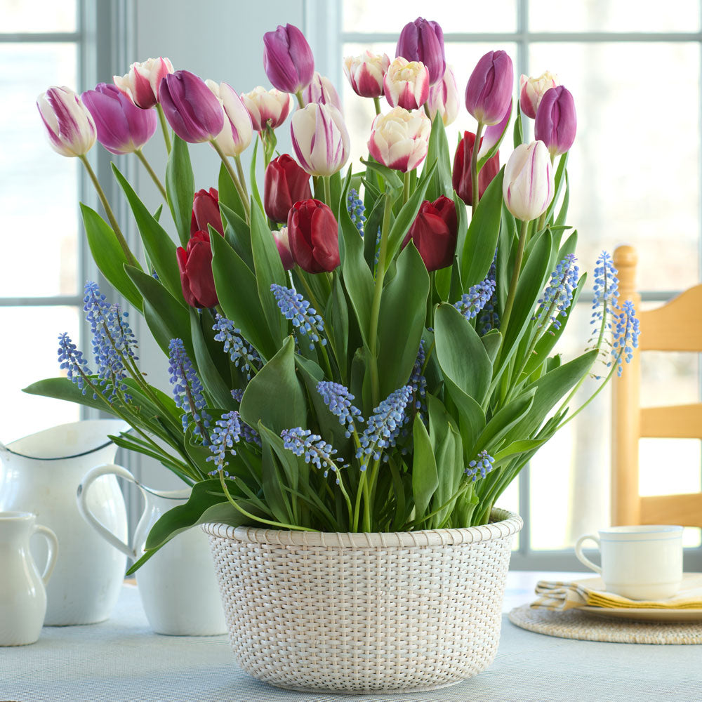 Flair for Romance Bulb Garden in large white Nantucket basket