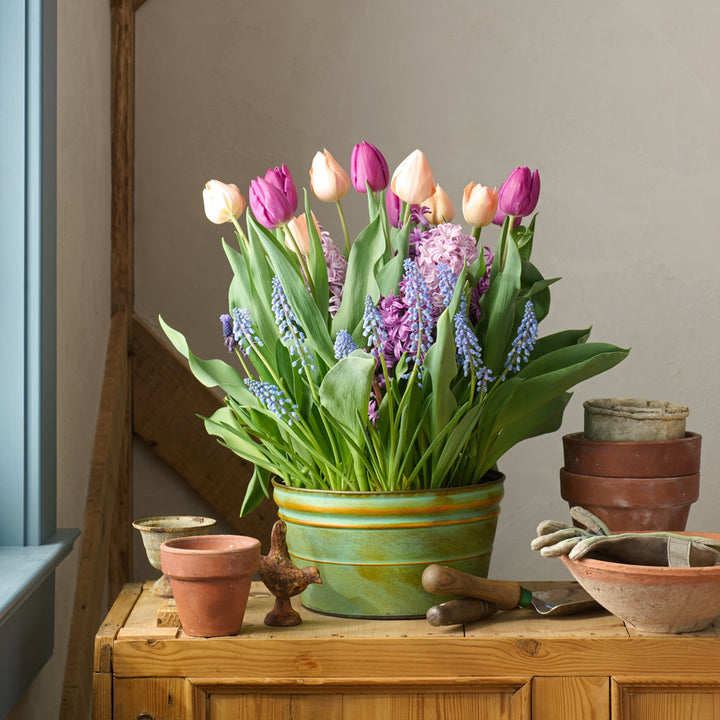 April Morning Bulb Garden in large metal cachepot