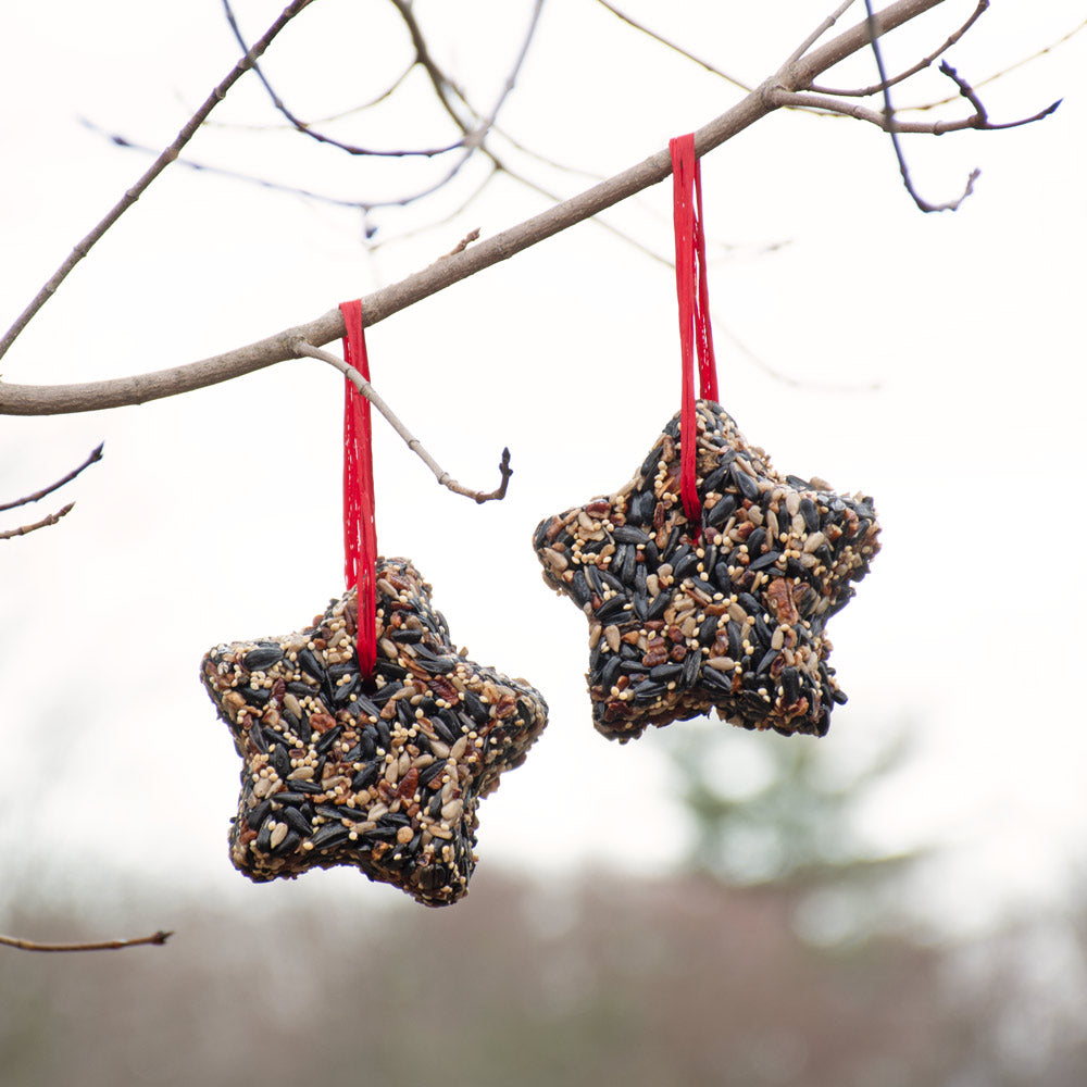 Birdseed Stars Duo