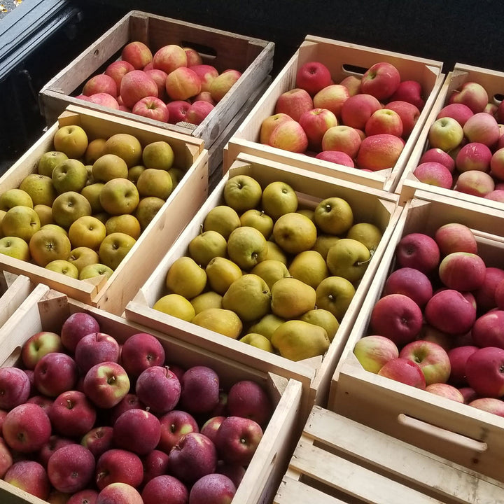 Hidden Gem Heirloom Apples - Standard Shipping Included