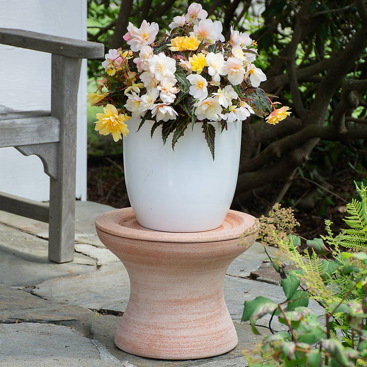 Bergs Celeste Pedestal Planter