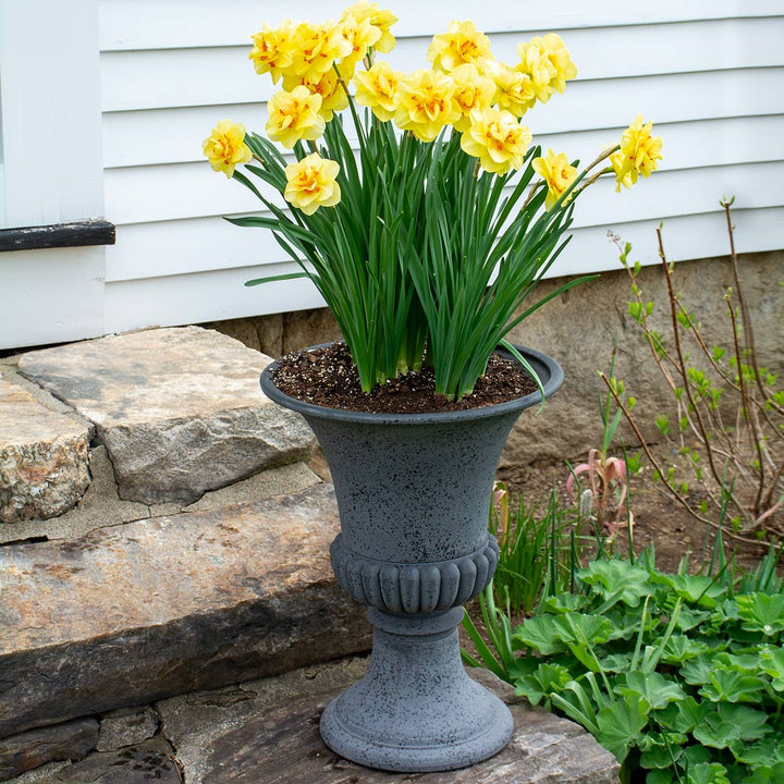 Aegean Urn, Gray