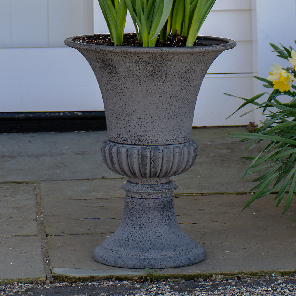 Aegean Urn, Gray