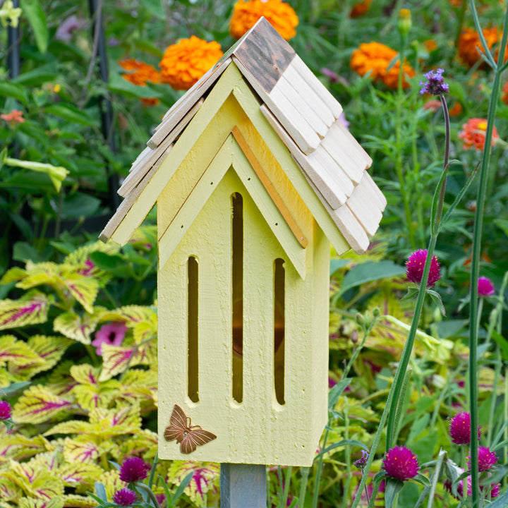 Mademoiselle Yellow Butterfly House