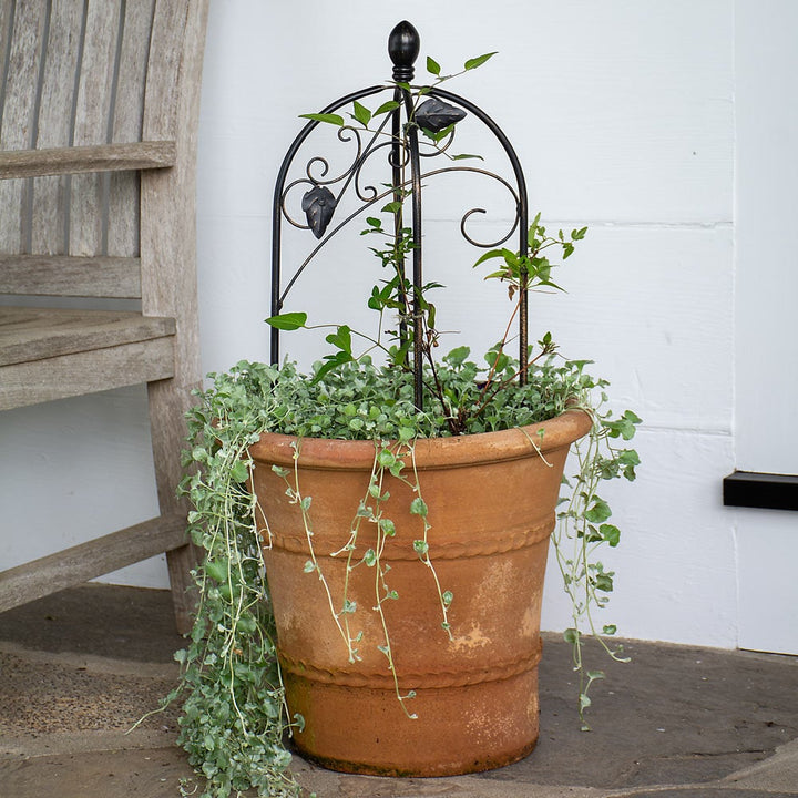 Mini Trellis Pot Topper