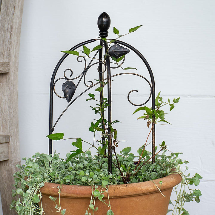 Mini Trellis Pot Topper