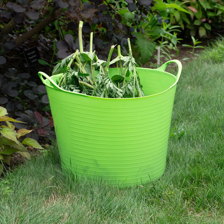 Gardening Trug, Large