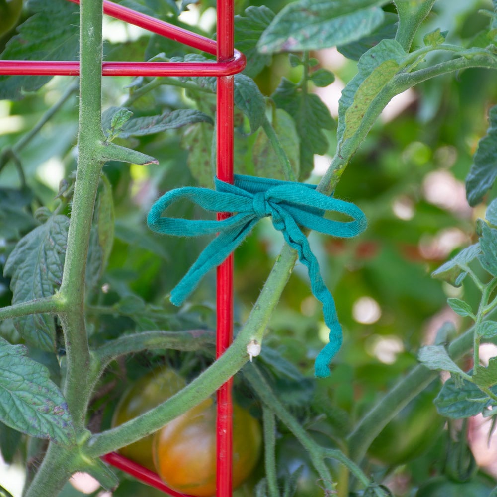Soft & Stretchy Garden String