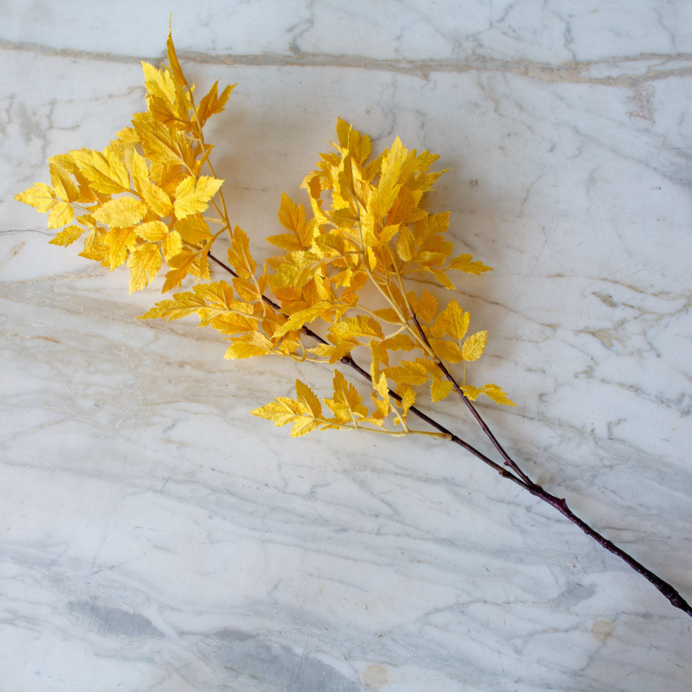Golden Cimicifuga Faux Stem