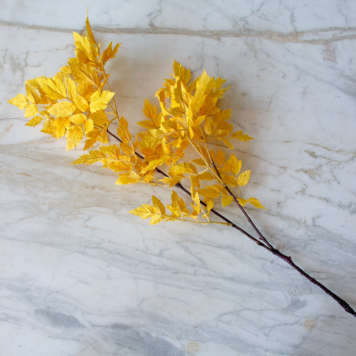 Golden Cimicifuga Faux Stem