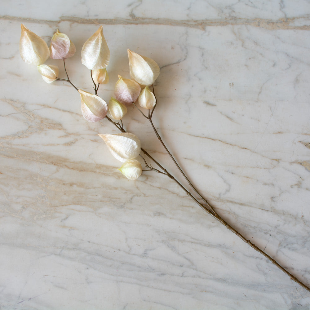 Chinese Lantern Pod Faux Stem