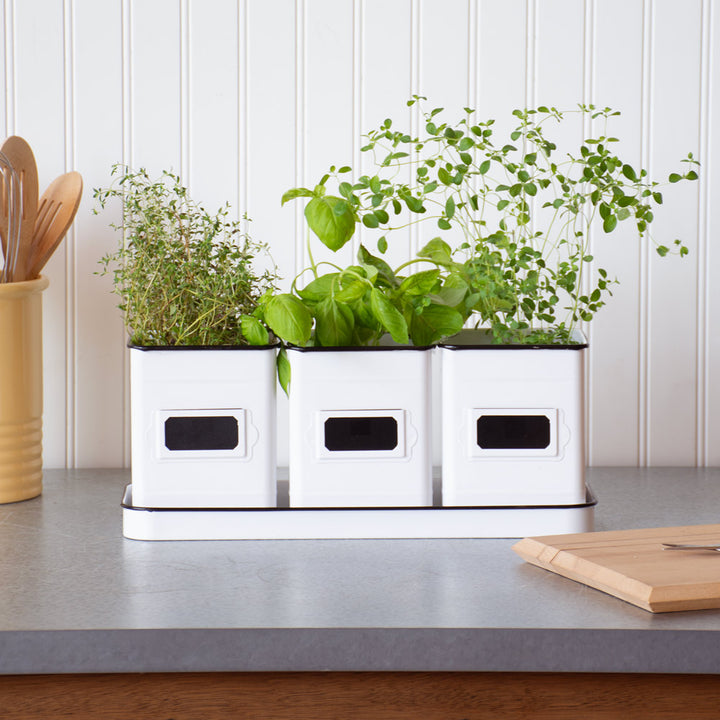 Herb Canister Trio