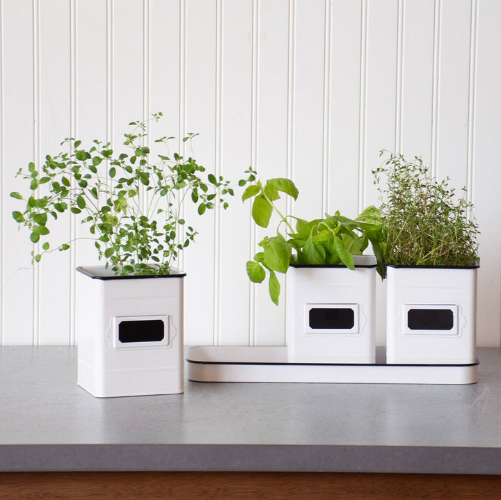 Herb Canister Trio