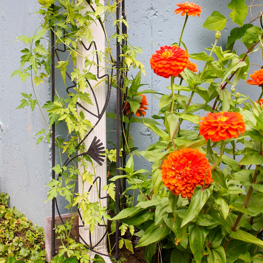 Leaf-Pattern Downspout Trellis