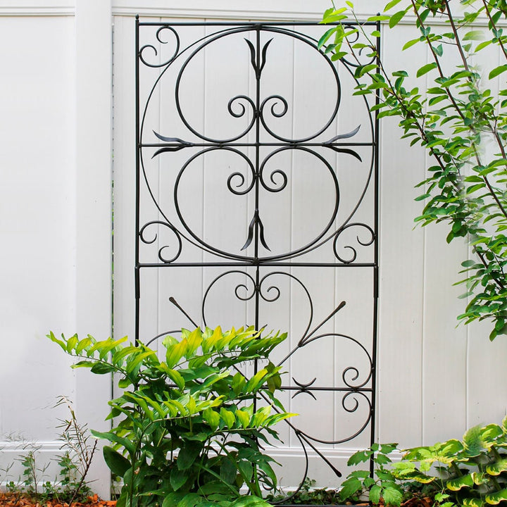 Aldridge Large Scrolled Trellis