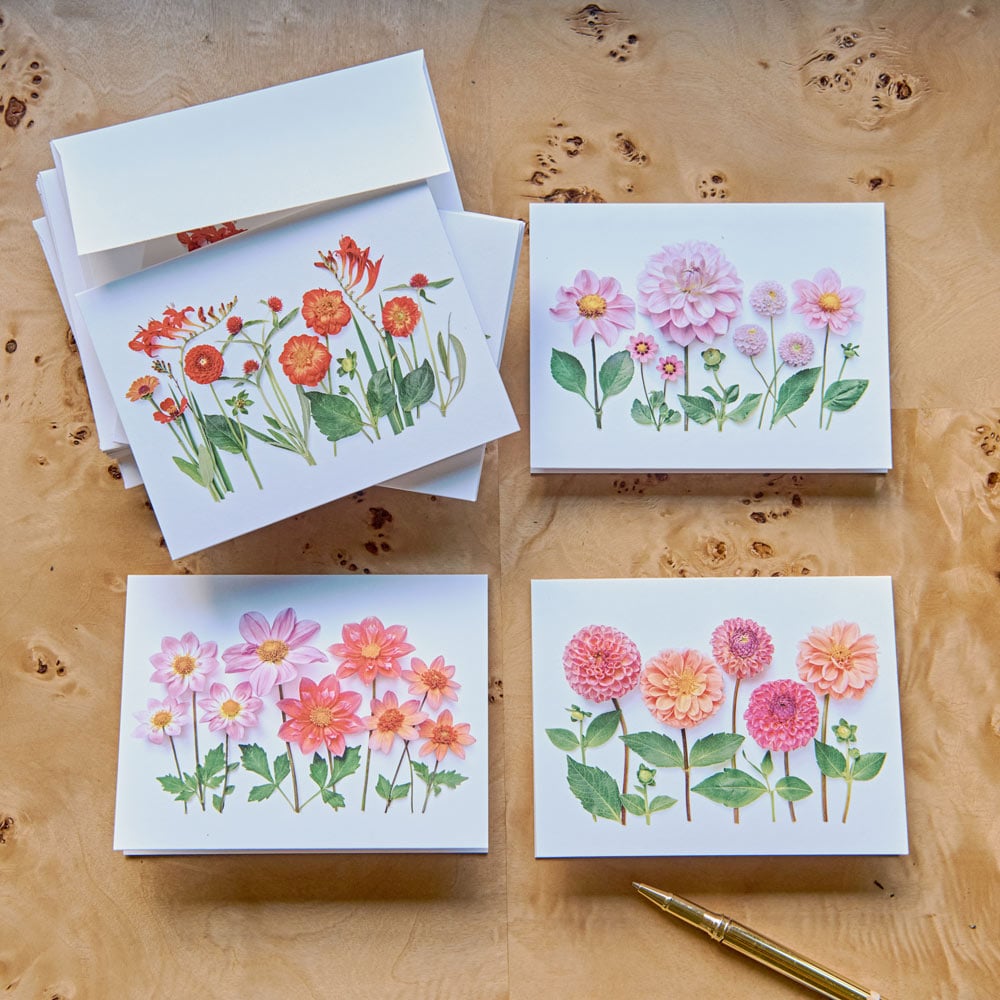 Dahlia Note Card Set