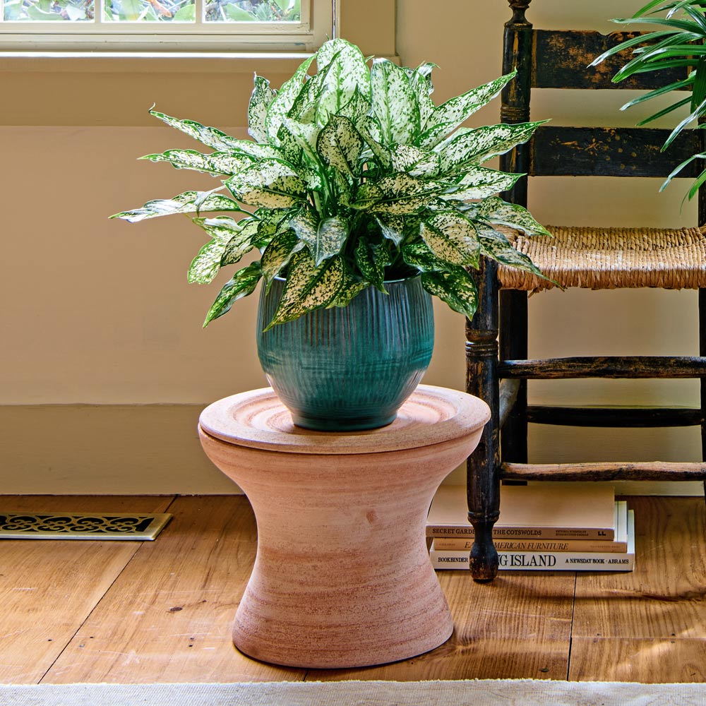 Bergs Celeste Pedestal Planter