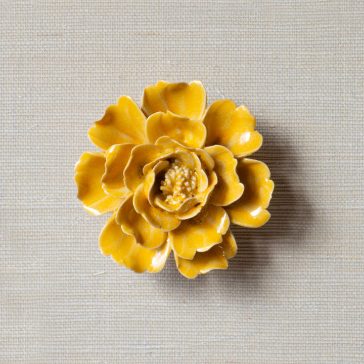 #color_yellow