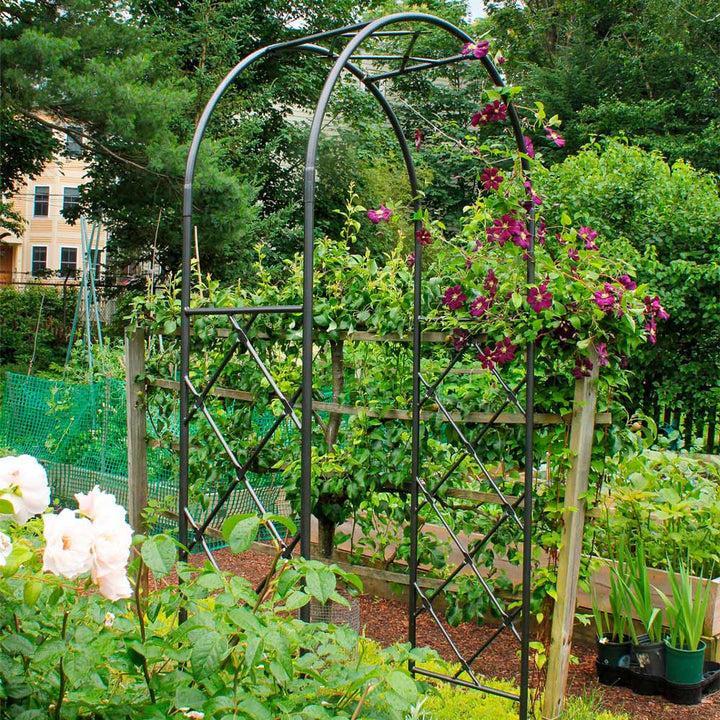 Lattice Arch