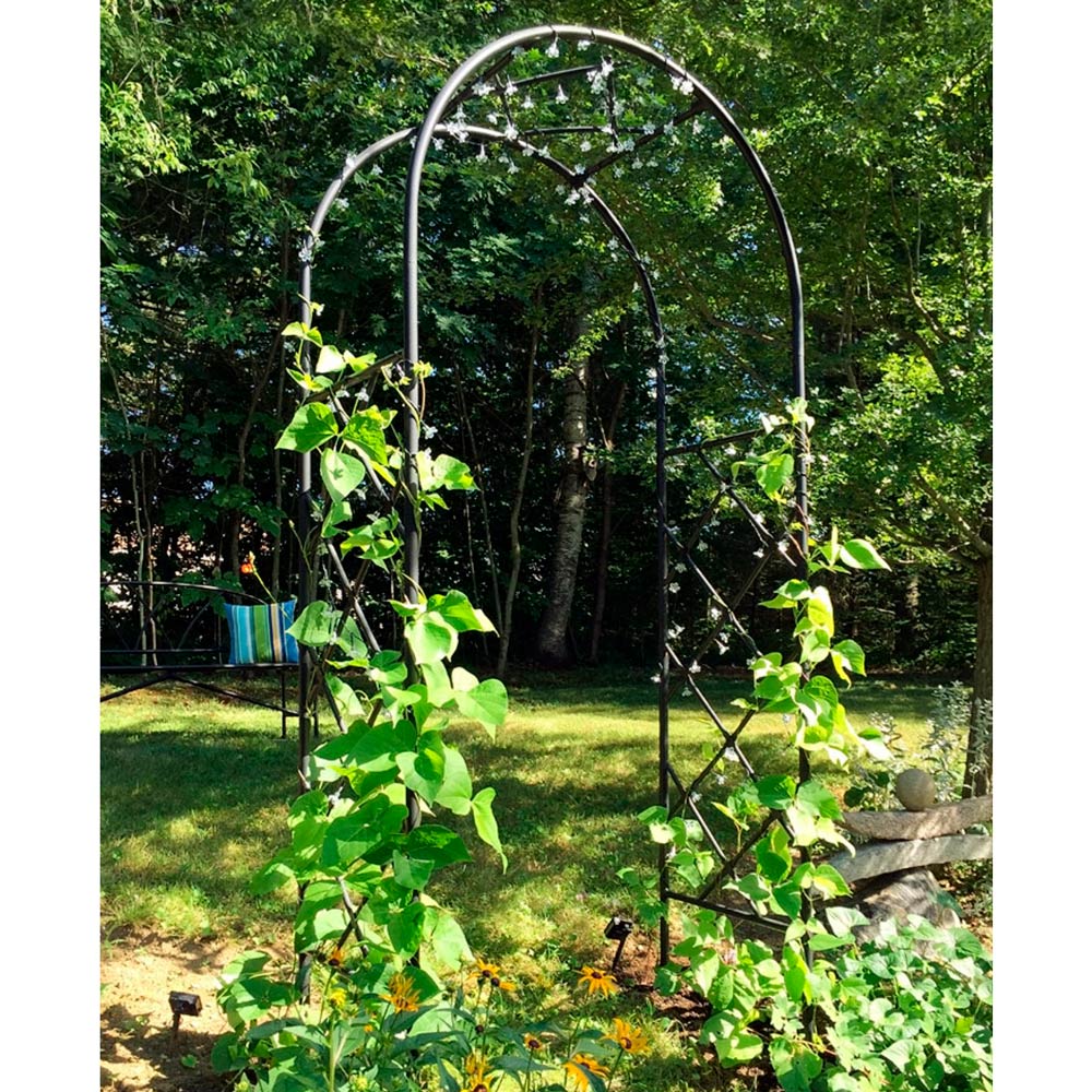 Lattice Arch