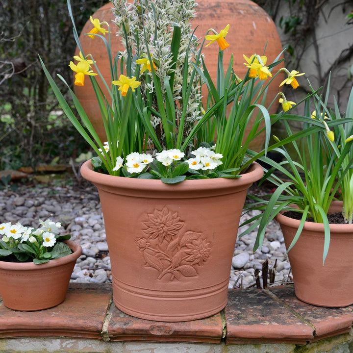 White Flower Farm 75th Anniversary Pot by Whichford