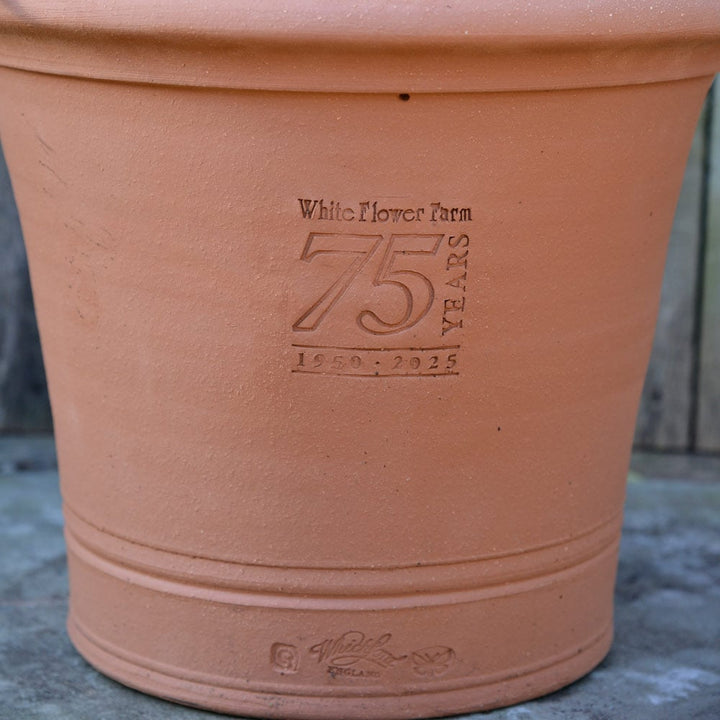 White Flower Farm 75th Anniversary Pot by Whichford