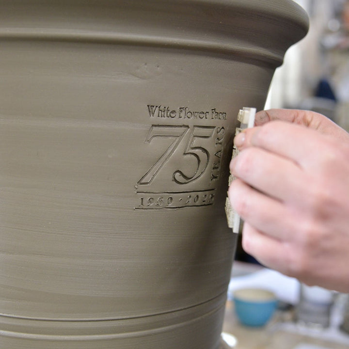 White Flower Farm 75th Anniversary Pot by Whichford
