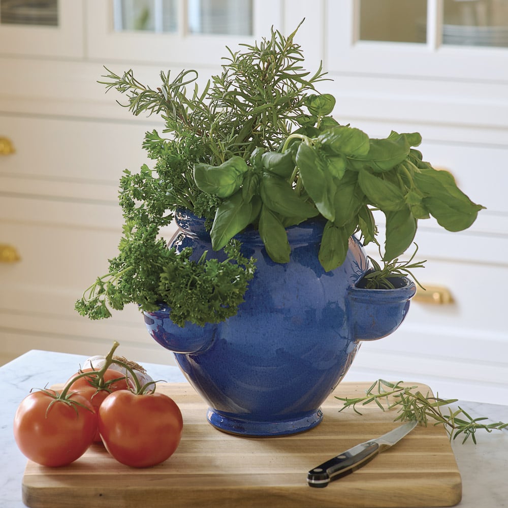 Herb Jar, Cobalt
