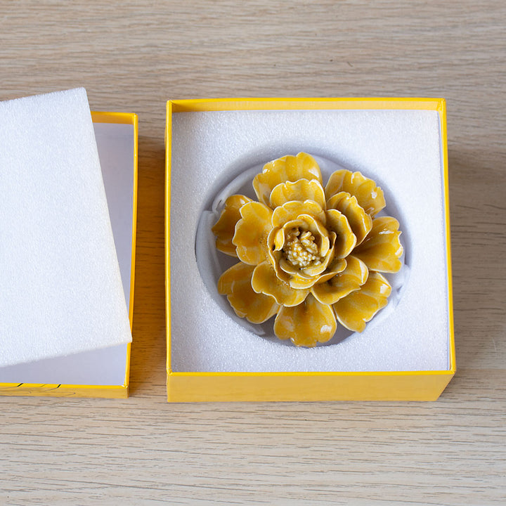 #color_yellow