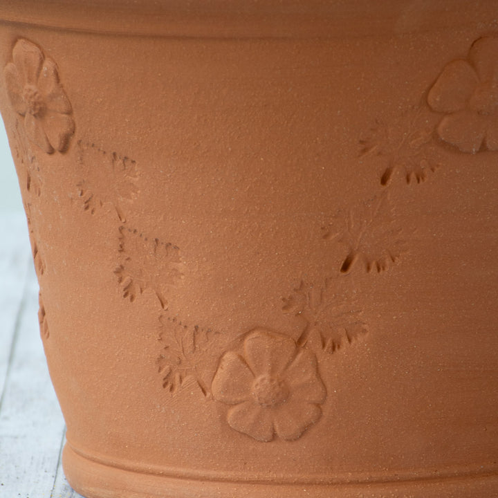 Whichford RHS Creeping Buttercup Planter