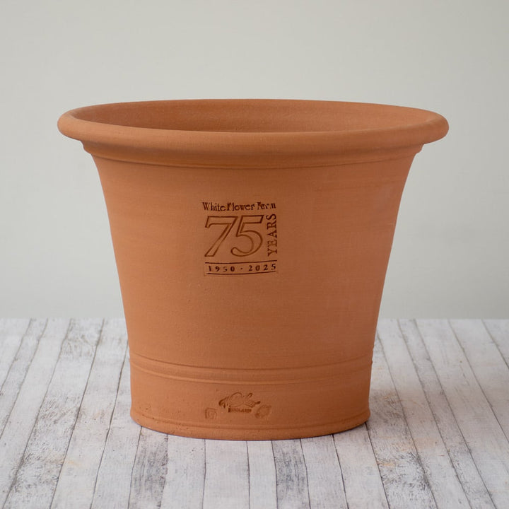 White Flower Farm 75th Anniversary Pot by Whichford