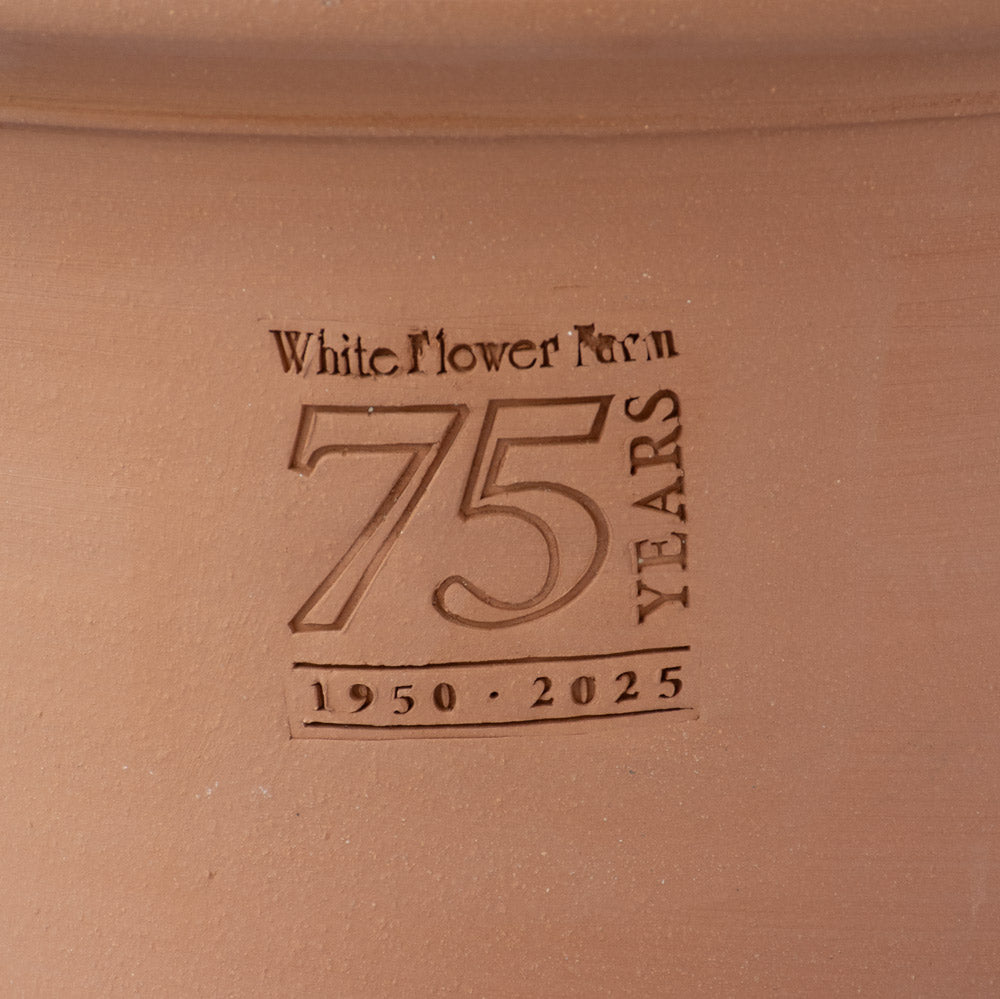 White Flower Farm 75th Anniversary Pot by Whichford