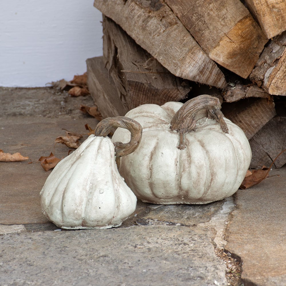 Cinderella Pumpkins, Set of 2, White