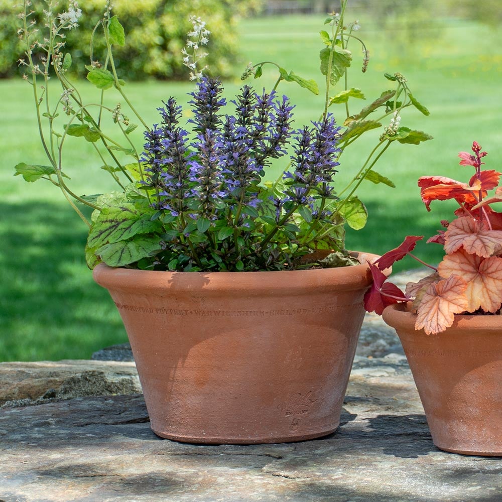Whichford Halfpot