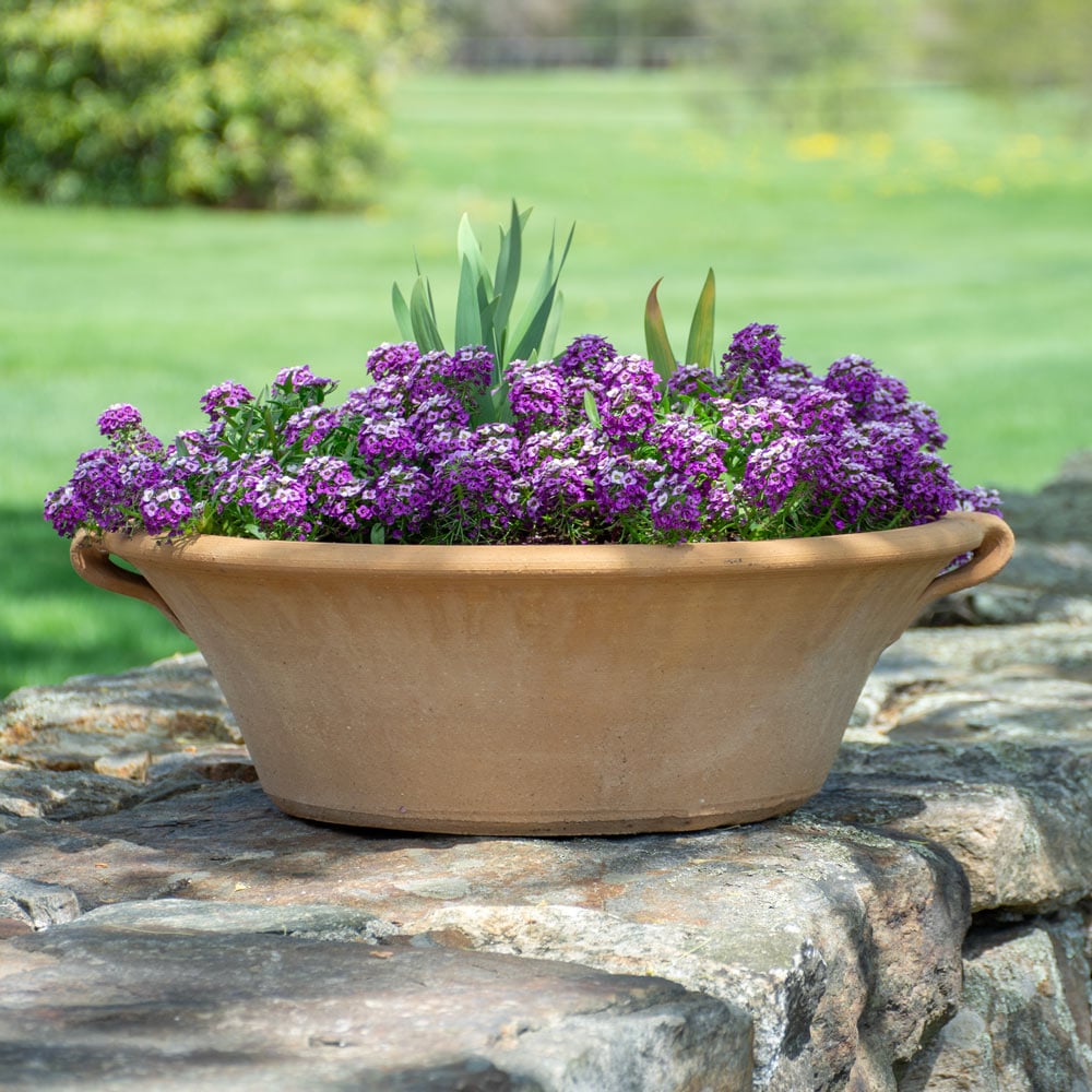 Cretan Pot Lekanida, medium