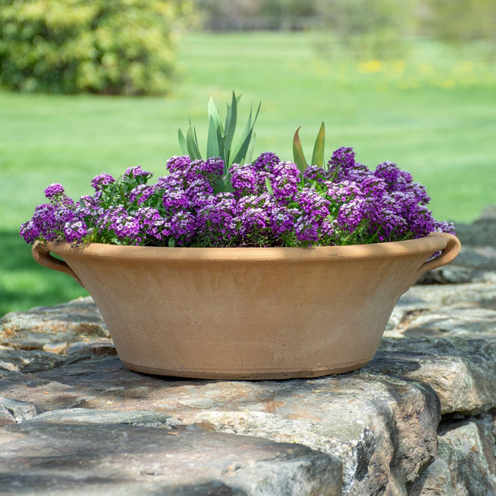 Cretan Pot Lekanida, medium