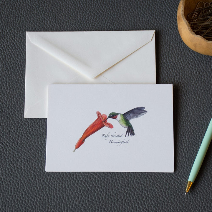 Hummingbird with Blossom Note Cards, Set of 8