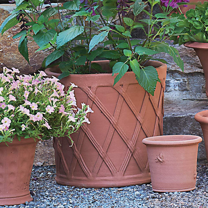 Basket Barrel Pot