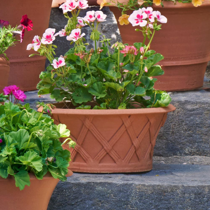 Shallow Basket Pot