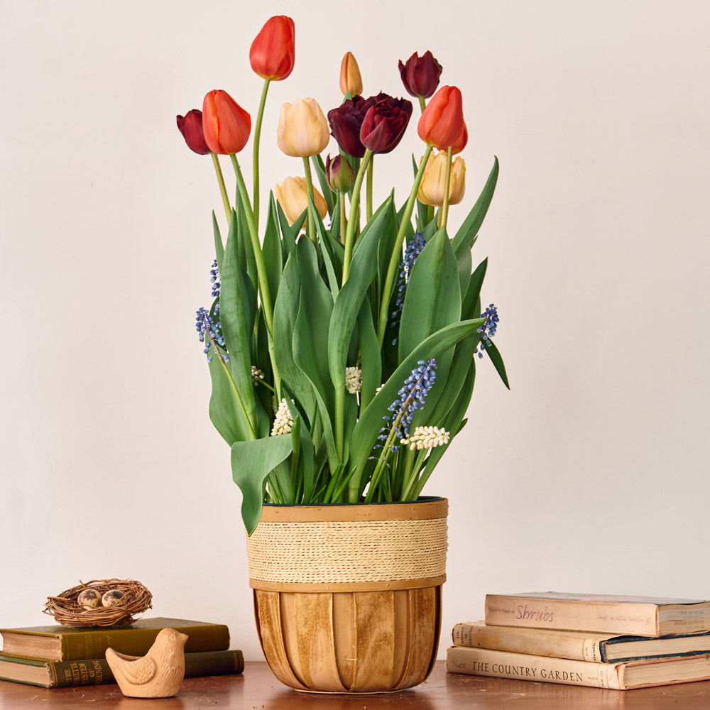 Dash of Springtime Bulb Garden in medium wooden basket