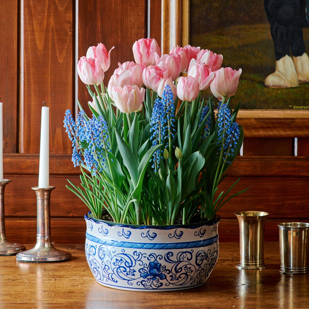 Two for Tea Bulb Garden in large ceramic bowl