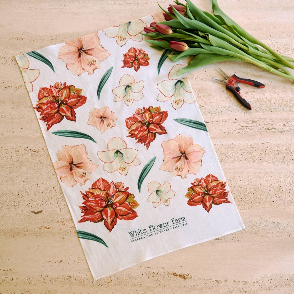 WFF 75th Anniversary Amaryllis Pattern Tea Towel