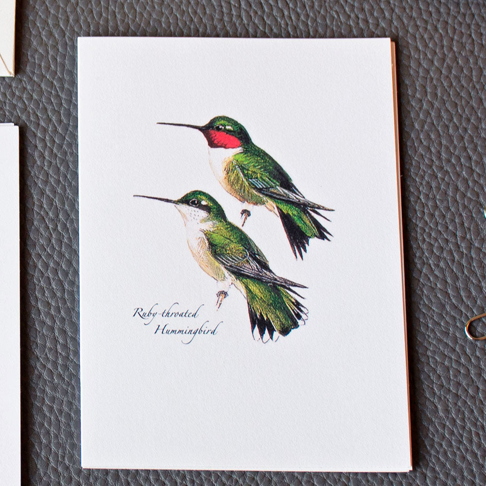 Hummingbird Pairs Note Cards, Set of 8