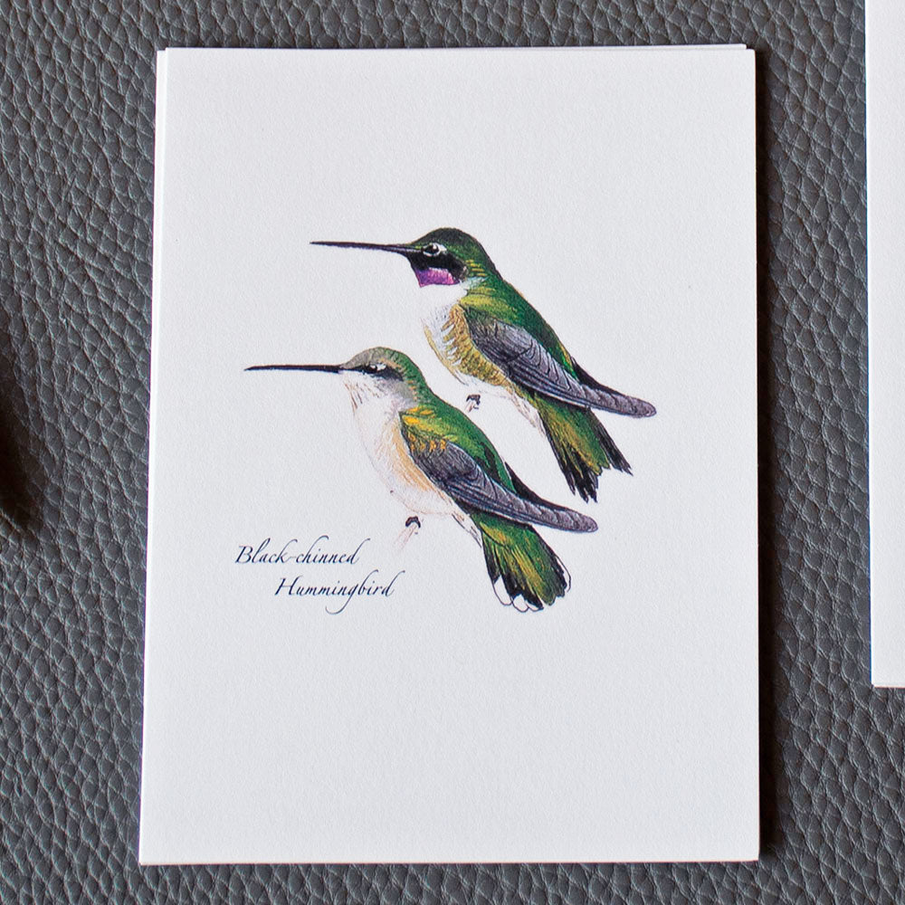 Hummingbird Pairs Note Cards, Set of 8
