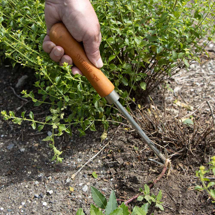 Sneeboer Precision Weeder