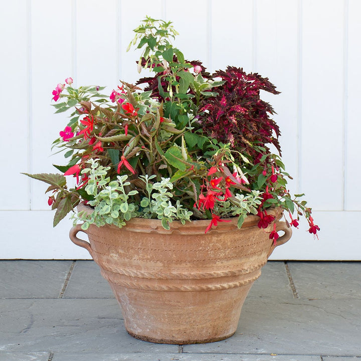 Cretan Pot Tsourati