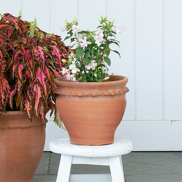 Piecrust Flower Pot