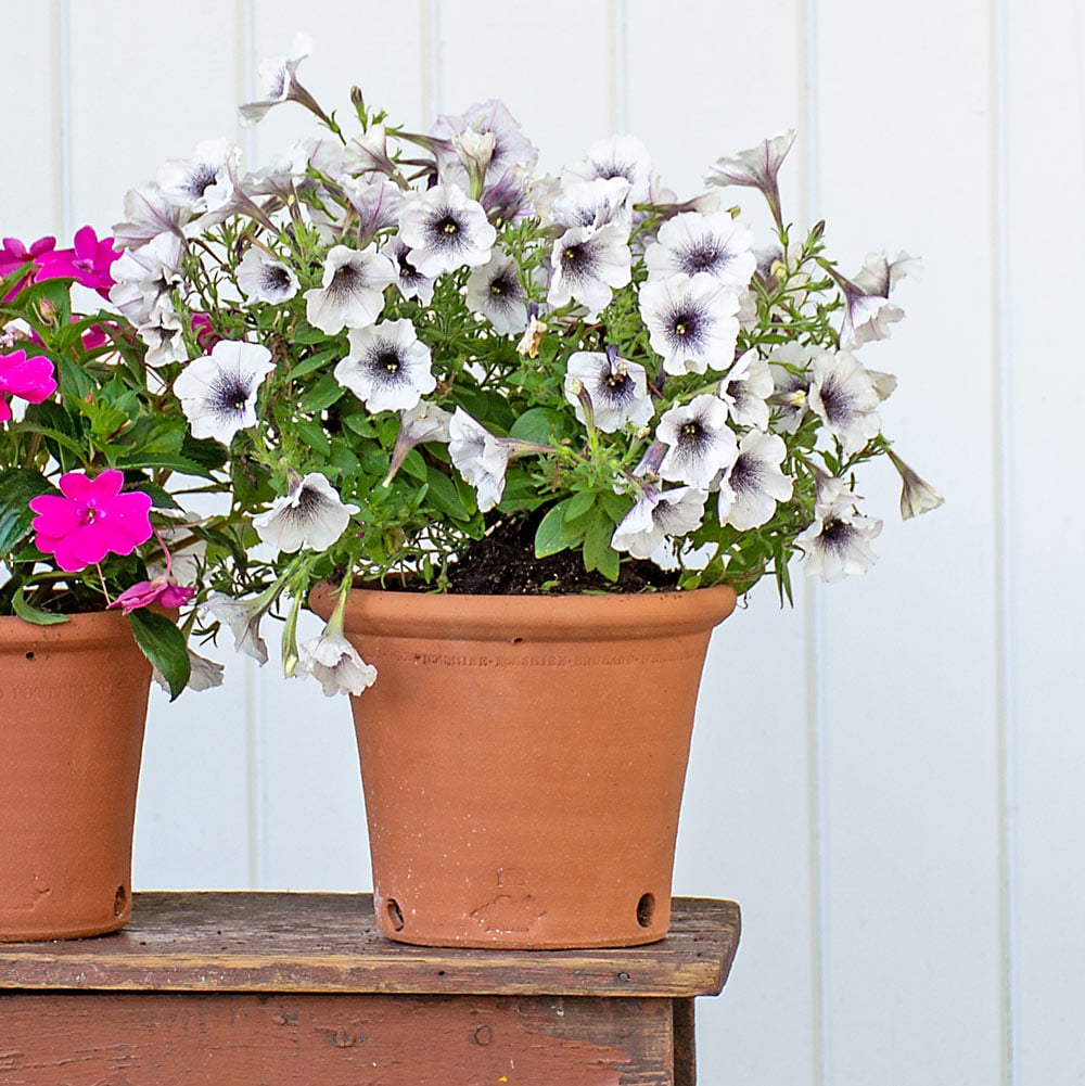 Whichford Kitchen Garden Pot