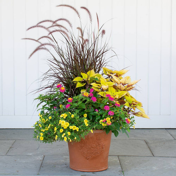 Romeo and Juliet Pot
